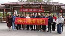 一颗“甜心烟薯”的破圈之旅——芷江公坪镇政协工作室暖心助农记