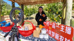 “一村一品一主播”再出发！龙山县爱媛果冻橙采摘节点燃冬日助农热潮