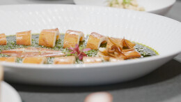 湘当有味：酒鬼酒X南景饭店，一口馥郁一口情