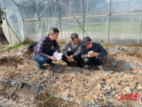 七旬老专家李炳秋的大地论文