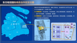 全国首次！上海东方枢纽先行启动区通过验收，未来境外人员可免签证入境30天