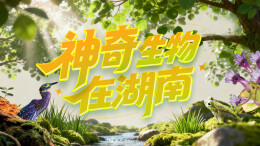 神奇生物在湖南——三湘都市报16楼深读周刊