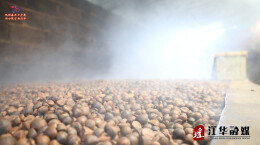 江华：小油茶成大产业 乡村振兴路飘香