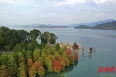 水质不达标就扣钱！郴州构建东江湖生态补偿新机制