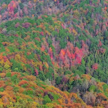 福地怀化·风物季 | “中国南方葡萄沟”五彩斑斓如油画