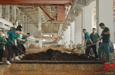 “质”敬标杆丨“509”再塑湘酒传奇——探寻武陵酒的品质密码