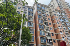 申观察｜物业治理“老问题新热点”破解有道