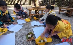 关注丨把课堂“搬”进秋天，南岳秋假解锁实践育人新场景