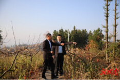 南华大学校领导率队回访南华大学原驻点帮扶村