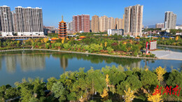 【大美鹤城】鹤鸣洲：水岸光影交错  满目初冬斑斓