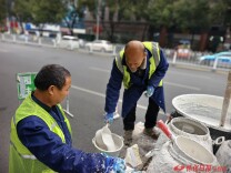 福地怀化 懂你如家 | 城区6万棵行道树“换装”