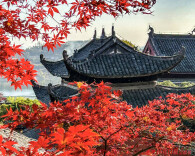 福地怀化·风物季 | 龙兴讲寺美丽景色