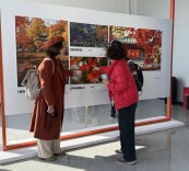 长沙城市摄影艺术展在岳麓山启幕