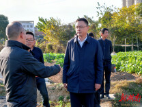 白再兴调研岳阳楼区大气污染防治工作