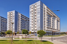 民营房企缘何年底扎堆“抢地”