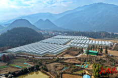 郴州市苏仙区：“头雁”飞上五盖山，公益金浇开致富花