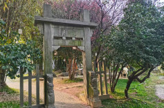 仅仅“知道”是不够的，关键要“做到”