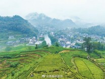 湘西这个村，把出村“泥泞路”走成了幸福“彩虹路”