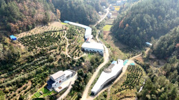 石门磨市镇：橙黄菜绿畜禽旺，产业振兴谱华章