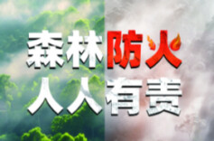 双峰县举办2025年黄龙林场区域森林防灭火联合应急演练