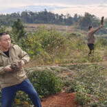 湘阴县静河镇：清网护鸟筑屏障 生态守护见行动