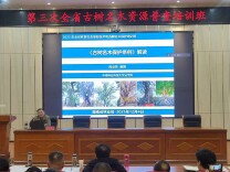 摸清“活化石”家底！第三次全省古树名木普查启动，首站培训长沙开班