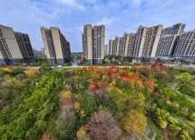 日子寻常，门前的风光不重样：记录湖南冬日限定的温柔