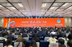 三湘时评 | 种好梧桐树 引得凤凰归