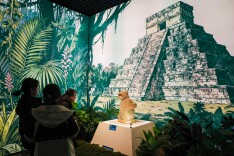 冬日里的异域风情，走进河北博物院墨西哥玛雅文明展