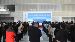 岳阳临港高新区2025年职工健步行活动圆满举行