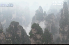 历史上的今天 | 1992年12月7日，武陵源风景名胜区被列入“世界自然遗产保护名录”