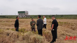 从“生态包袱”到“黄金面包”——益阳市资阳区茈湖口镇打响秸秆综合利用“人民战争”　　