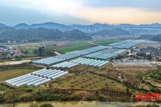 郴州市苏仙区：智慧农业织就乡村振兴新图景