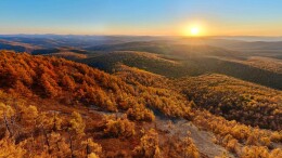 “十四五”发展亮点丨中国“调色盘”增新绿！森林覆盖率超25%