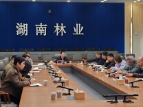 省林业局召开全省松材线虫病疫木集中除治推进暨林业有害生物监测预警会商视频会