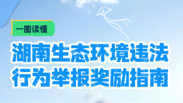 一图读懂丨湖南生态环境违法行为举报奖励指南
