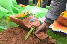 南县破解“死人与活人争地”，推动殡葬改革：移风易俗办好群众“身后事”|湖南日报要闻头条