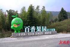 郴州市苏仙区：公益金精准滴灌，高山农旅展新篇