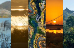 @0731，一组绿心秋色卡，请查收！