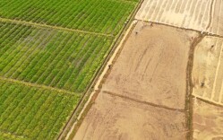 临澧农商银行：匠心守护“老味道”