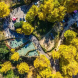 桐子坳的夫妻树