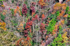 绥宁牛角岩冬日披盛装，成为游客热门打卡地