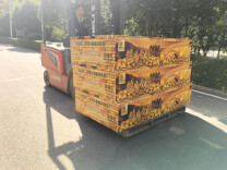 浏阳一烟花企业产品多项安全不达标