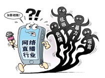 辛小湘 | 不让乌烟瘴气的低俗团播污染网络生态