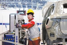 High-skilled generation