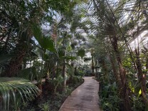 超适合冬日遛娃，北京室内“热带雨林”攻略请收好