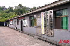 秸秆育出“富民菇”：公益金“活水”浇灌苏仙乡村振兴“科技花”