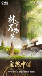 6.5亿亩林地、1万亿产值！林下万物给出的中国答案