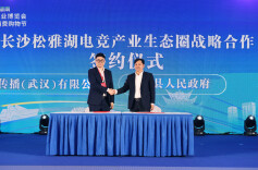 好看好玩又好吃，湖南这场文旅盛宴“惠”聚精彩