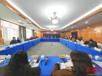 聚焦新文艺群体创作 袁姣素新作研讨会在湘举行